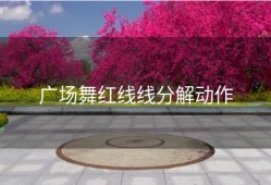 广场舞红线线分解动作