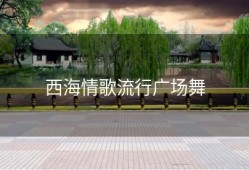 西海情歌流行广场舞