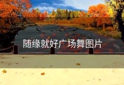 随缘就好广场舞图片