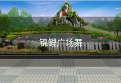 锦鲤广场舞