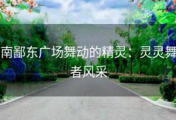 南鄙东广场舞动的精灵：灵灵舞者风采