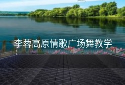 李蓉高原情歌广场舞教学