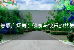 姜堰广场舞：健身与快乐的共舞