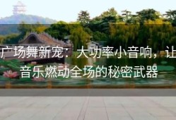 广场舞新宠：大功率小音响，让音乐燃动全场的秘密武器