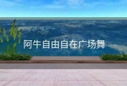 阿牛自由自在广场舞