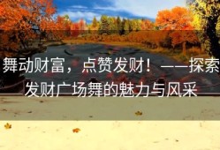 舞动财富，点赞发财！——探索发财广场舞的魅力与风采