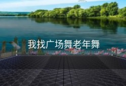 我找广场舞老年舞