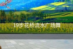 19步花桥流水广场舞