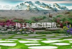 梅王新居广场舞队