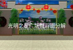 光明之星广场舞背面分解