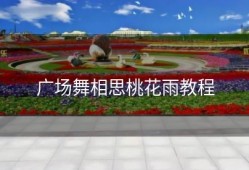 广场舞相思桃花雨教程