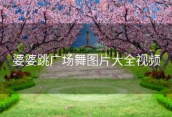 婆婆跳广场舞图片大全视频