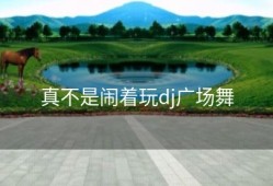 真不是闹着玩dj广场舞