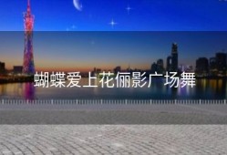 蝴蝶爱上花俪影广场舞