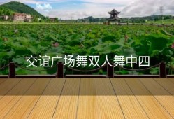 交谊广场舞双人舞中四