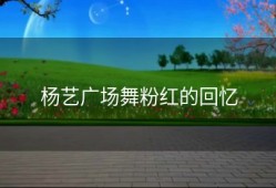 杨艺广场舞粉红的回忆