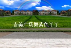 吉美广场舞紫色丫丫
