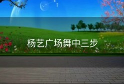 杨艺广场舞中三步