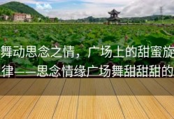 舞动思念之情，广场上的甜蜜旋律——思念情缘广场舞甜甜甜的