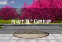 舞动中国广场舞排舞