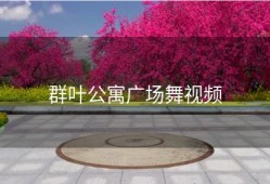 群叶公寓广场舞视频