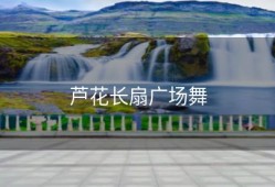 芦花长扇广场舞