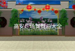 高安广场舞舞曲大全