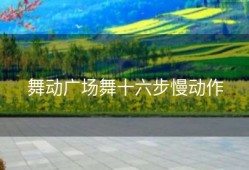 舞动广场舞十六步慢动作
