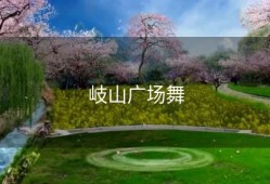 岐山广场舞
