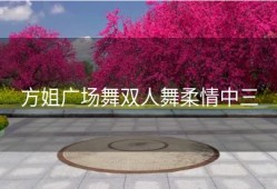 方姐广场舞双人舞柔情中三