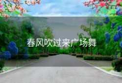 春风吹过来广场舞