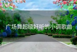 广场舞超级好听的小调歌曲