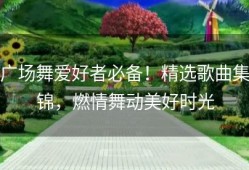 广场舞爱好者必备！精选歌曲集锦，燃情舞动美好时光