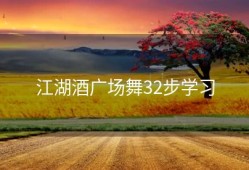 江湖酒广场舞32步学习