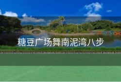 糖豆广场舞南泥湾八步