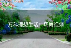 万科理想生活广场舞视频
