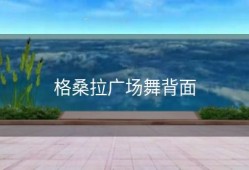 格桑拉广场舞背面