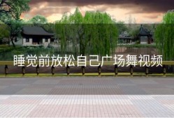 睡觉前放松自己广场舞视频