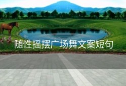 随性摇摆广场舞文案短句