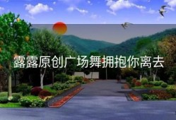 露露原创广场舞拥抱你离去