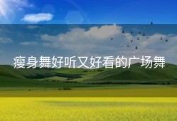 瘦身舞好听又好看的广场舞