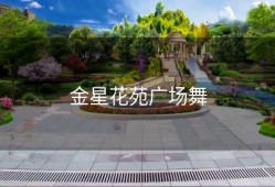 金星花苑广场舞