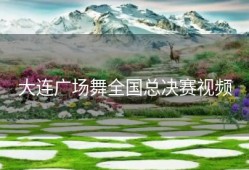 大连广场舞全国总决赛视频