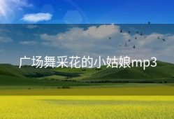 广场舞采花的小姑娘mp3