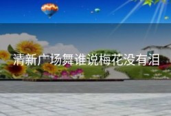 清新广场舞谁说梅花没有泪