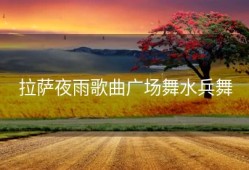 拉萨夜雨歌曲广场舞水兵舞