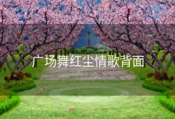 广场舞红尘情歌背面