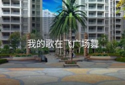 我的歌在飞广场舞