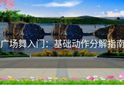 广场舞入门：基础动作分解指南