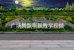 广场舞飘啊飘教学视频